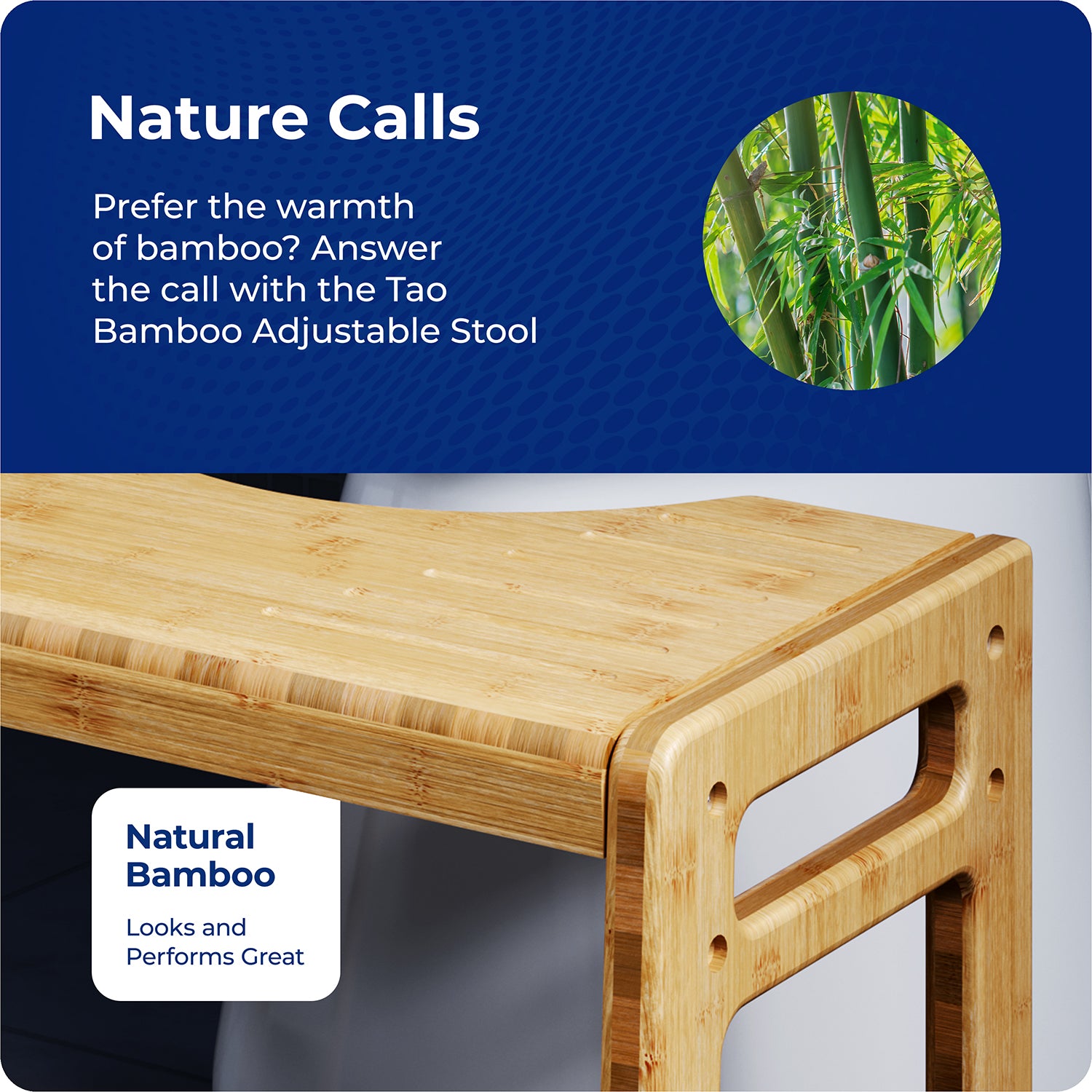 TAO BAMBOO - Image 5